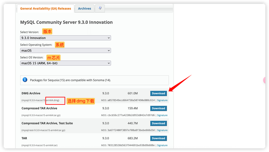 2025年TP钱包更新亮点多，官方下载保障文本分析准确性